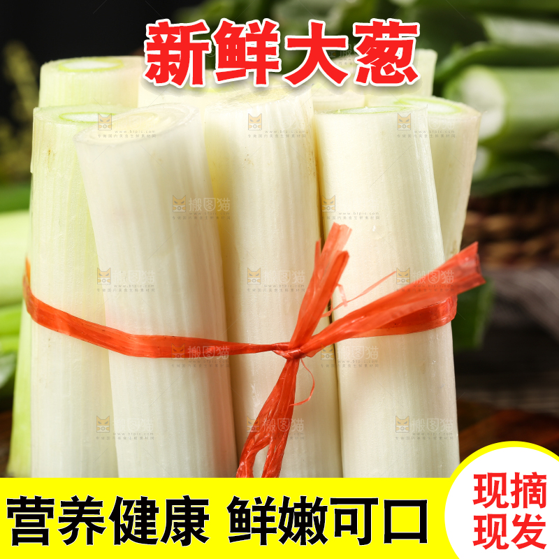 木底上的山东大葱