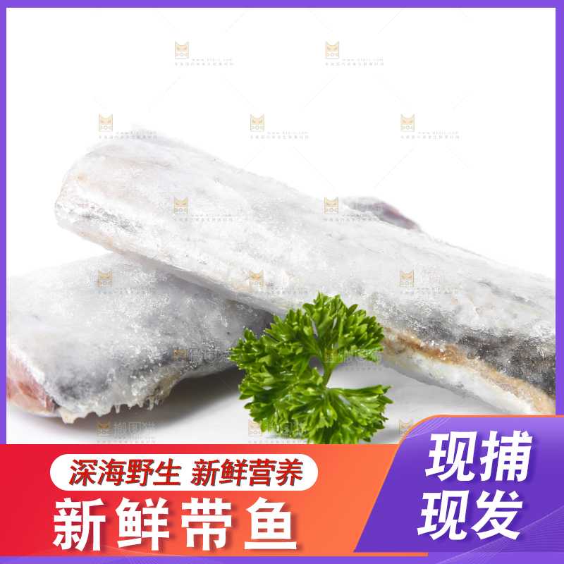 白底上的带鱼段