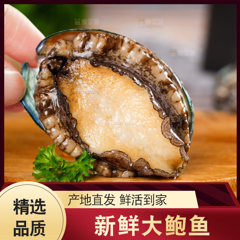 手拿鲍鱼