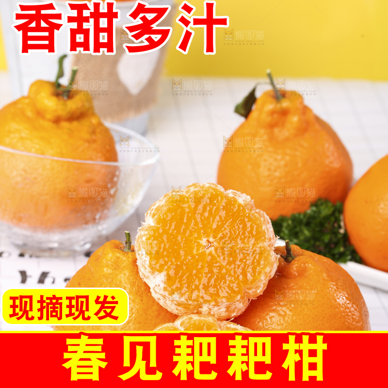盘子里装着春见柑橘
