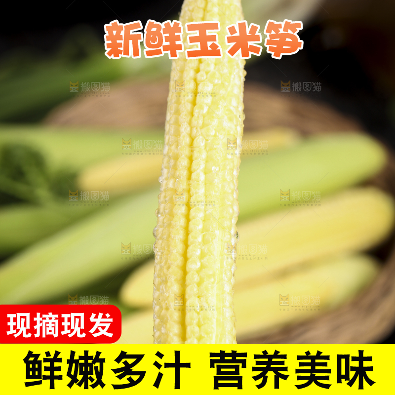 手里拿着番麦笋