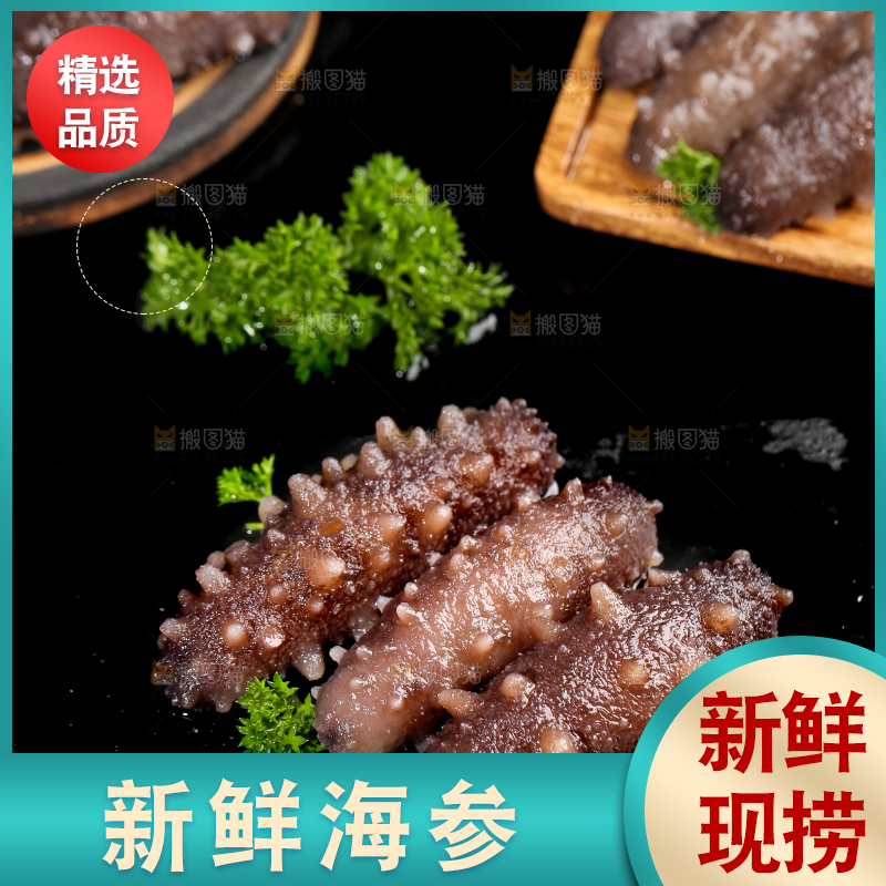 黑石板上的海参