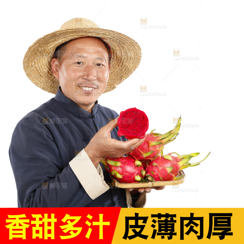 农民手里拿着红心火龙果