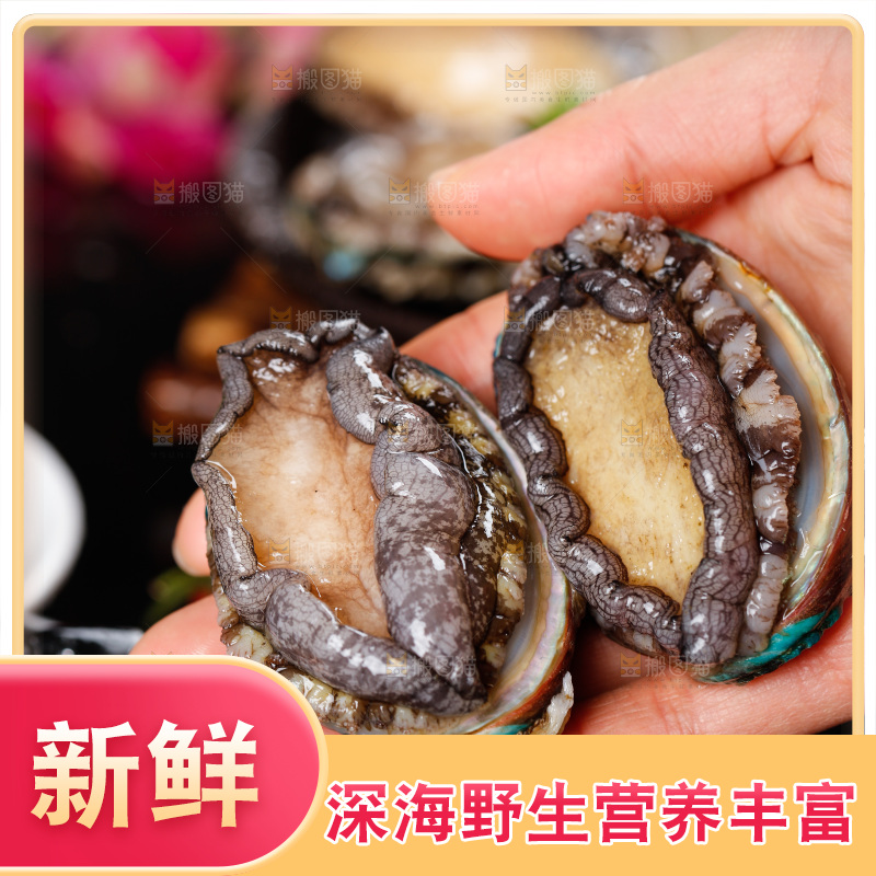 手拿鲍鱼