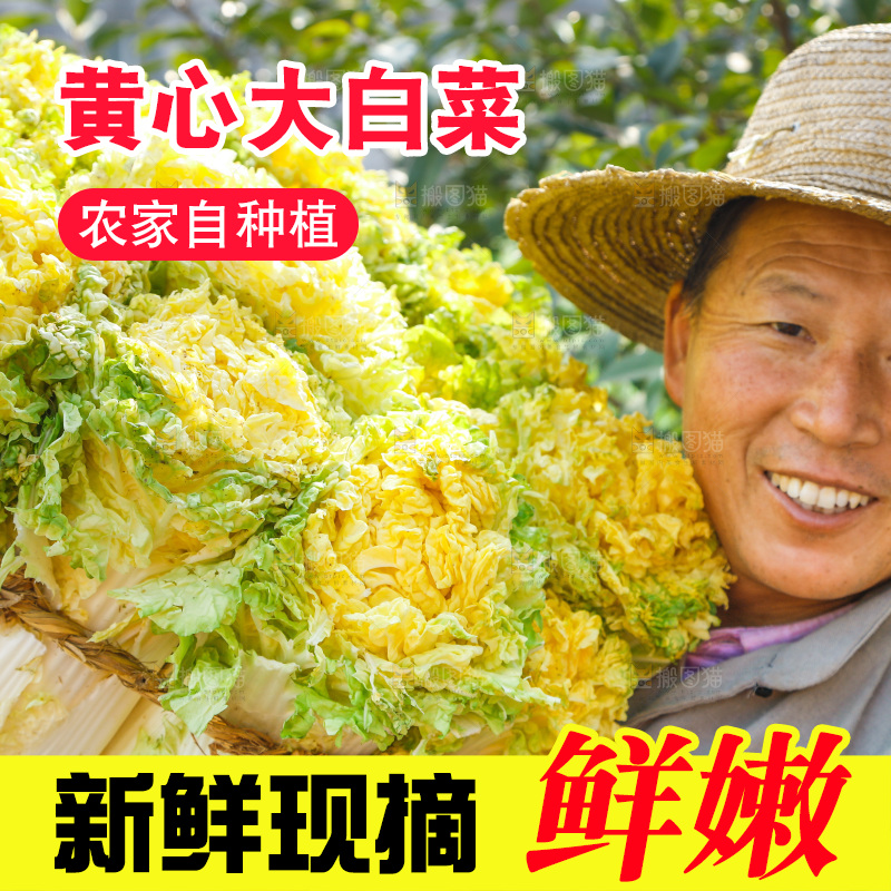 农民抱着一捆大白菜