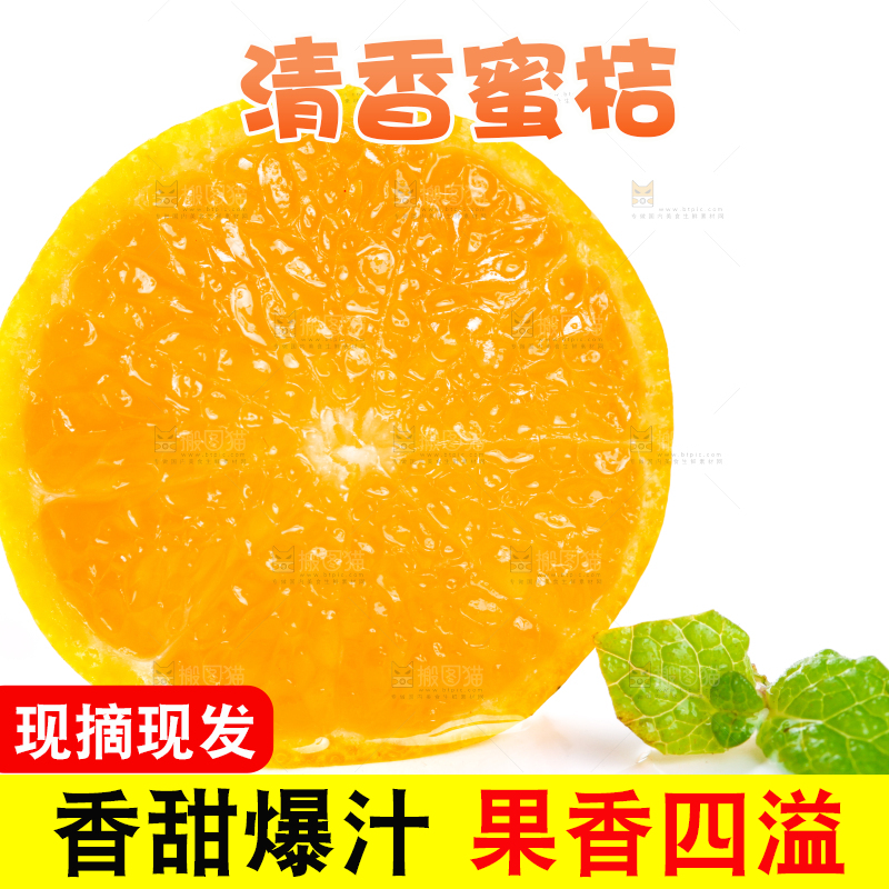 切开的清香蜜桔放在白底上