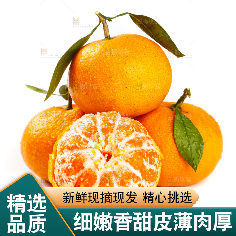 白底上摆放着蜜橘