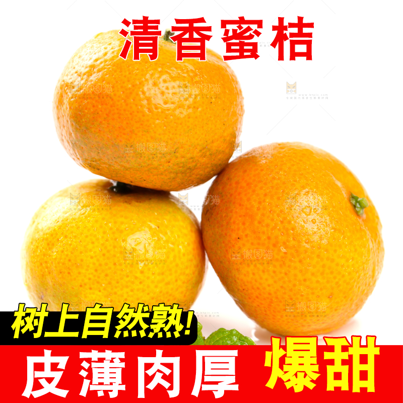 白底上的桂林清香蜜桔