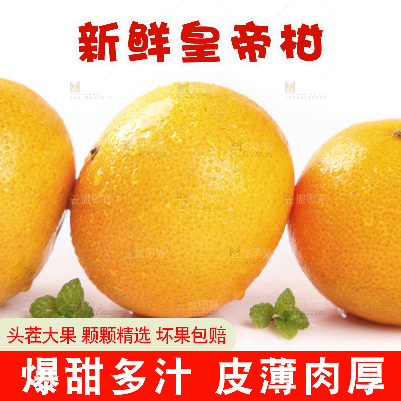 白底上的广西皇帝柑