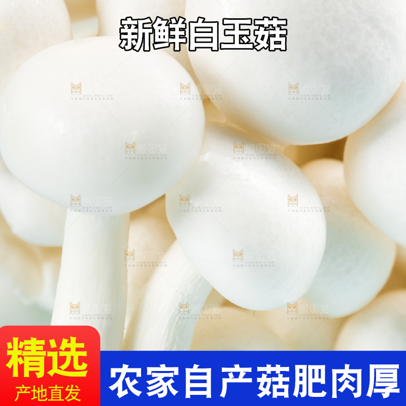 蓝底上的白玉菇
