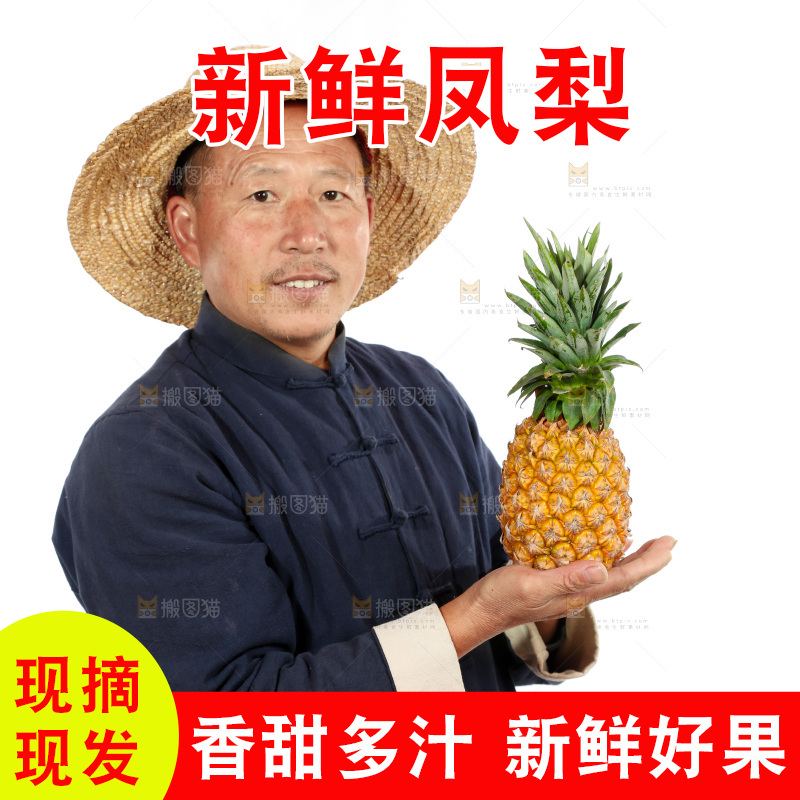 农民手里拿着凤梨