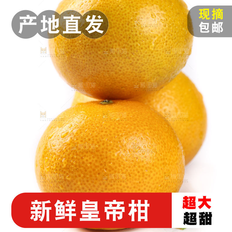 白底上的广西皇帝柑