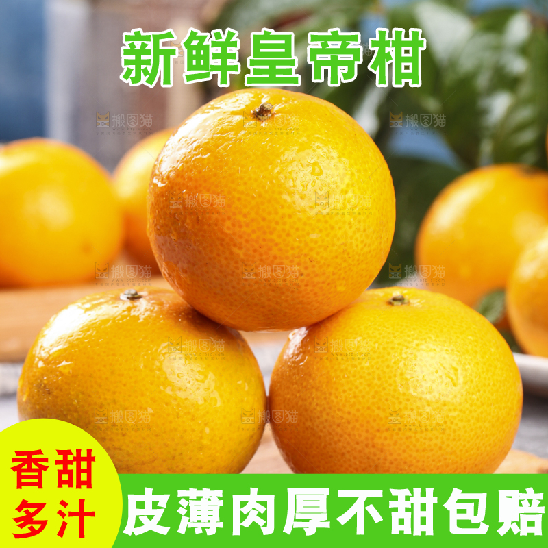木板上的皇帝贡柑