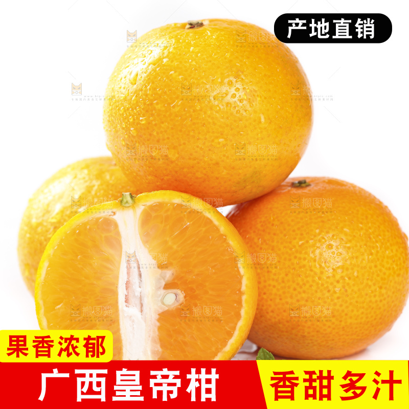 切开的皇帝贡柑放在白底上