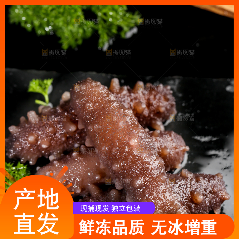黑石板上的海参