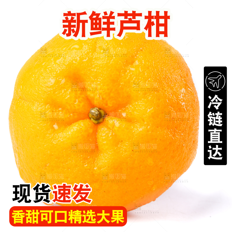 白底上放着芦柑