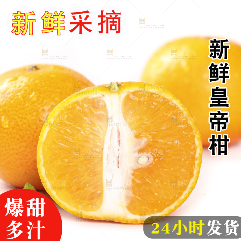 切开的皇帝贡柑放在白底上