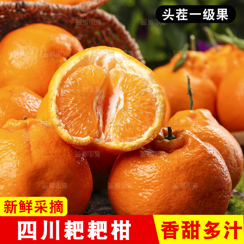 草地上摆放着耙耙柑