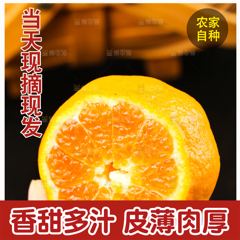 手里拿着新鲜芦柑