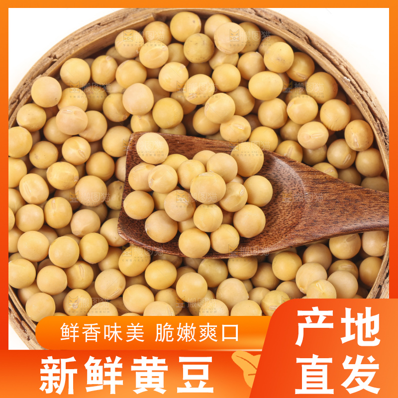 碗里装着农家黄豆
