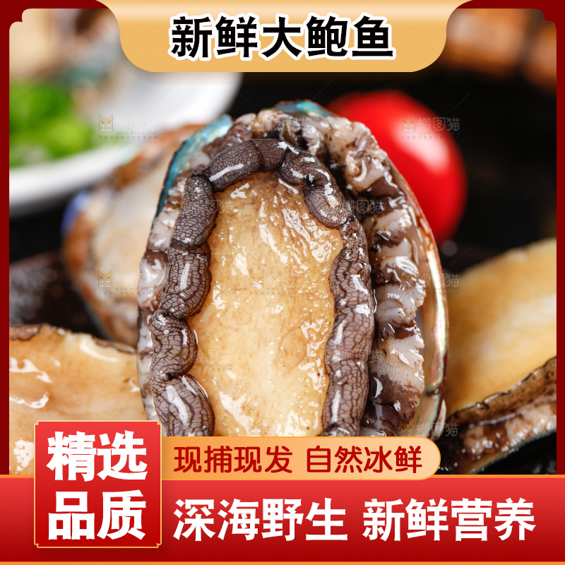 黑底上的鲍鱼