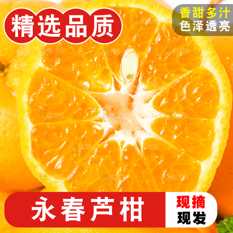 白底上放着芦柑