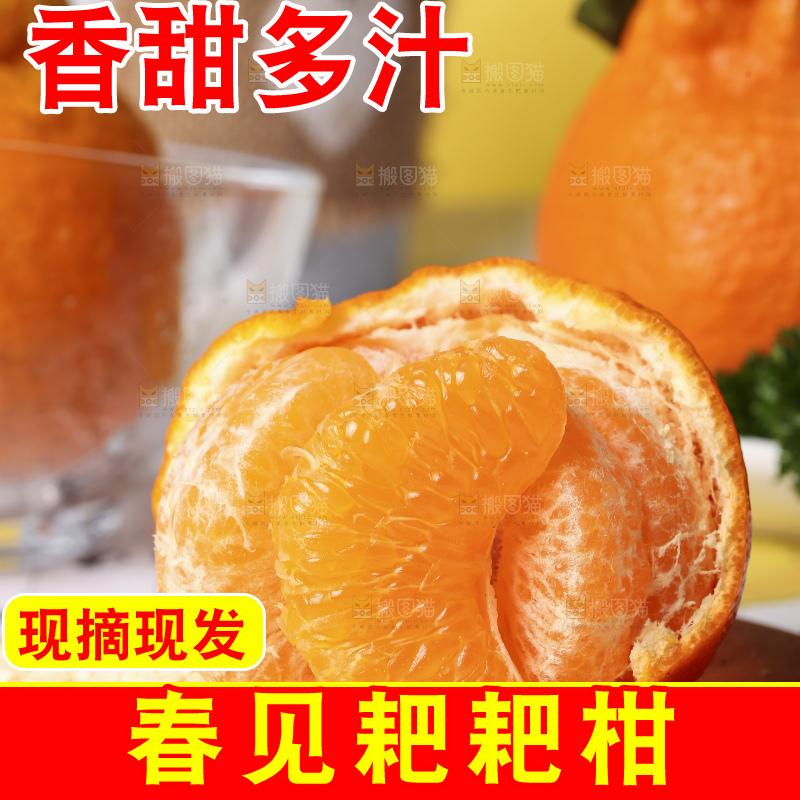 木板上放着春见耙耙柑
