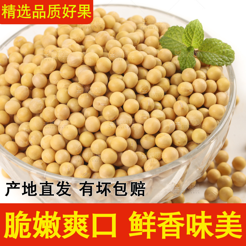 白底上放着东北黄豆