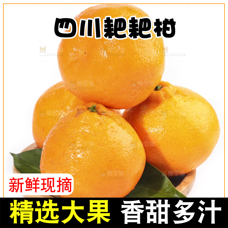 一盘新鲜的耙耙柑放在白底上
