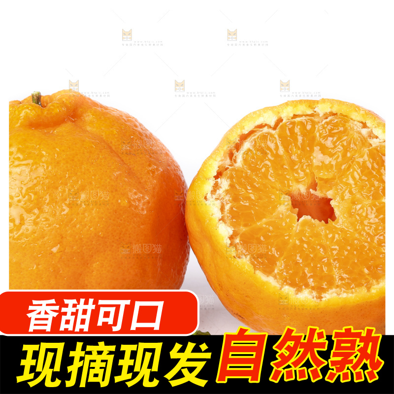 白底上的春见耙耙柑