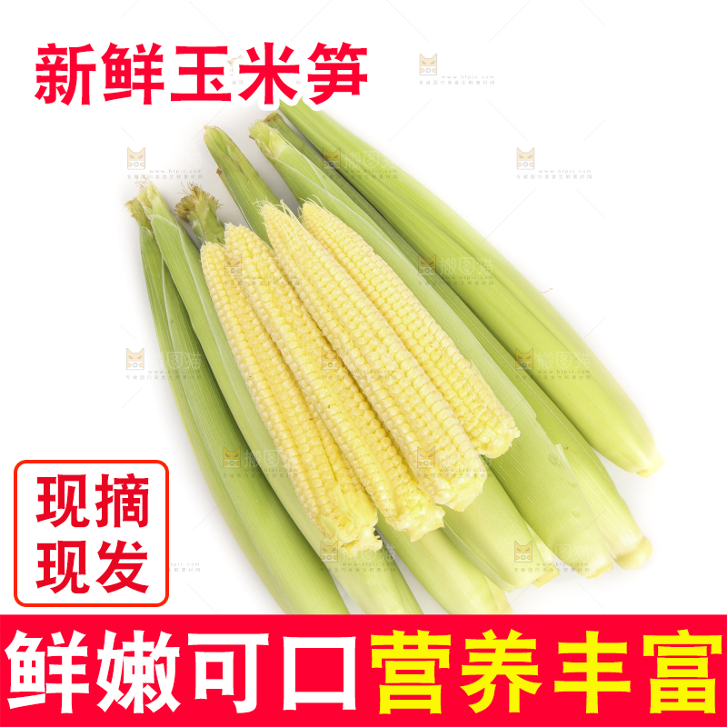 白底上的珍珠笋