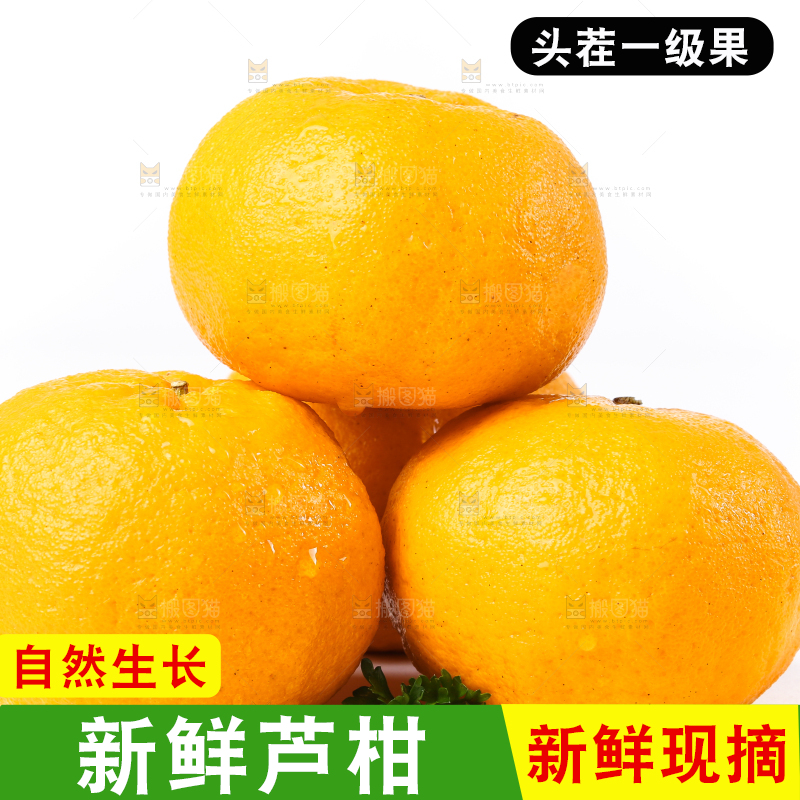 白底上放着芦柑