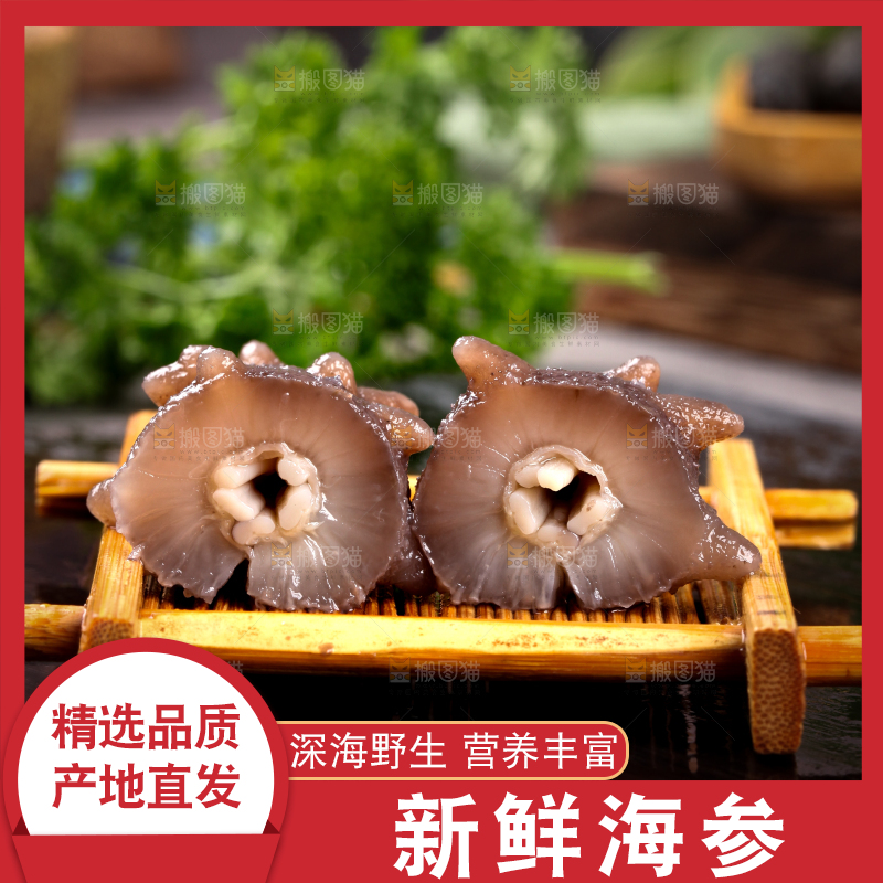 深底上的海参
