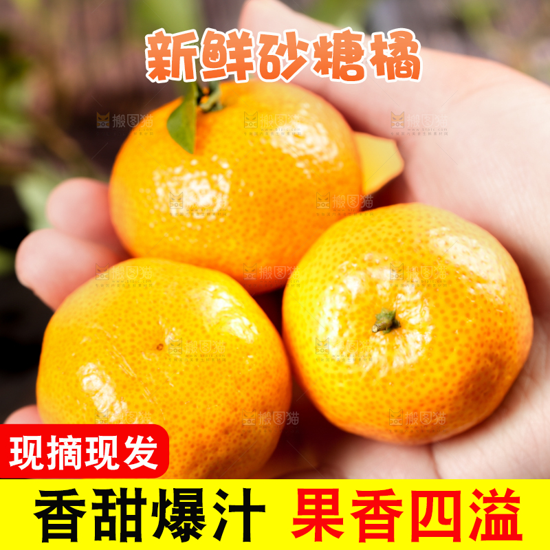 手拿砂糖橘