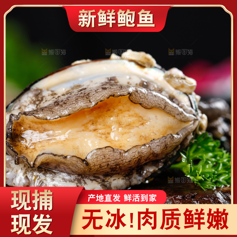 深底上的活冻大鲍鱼