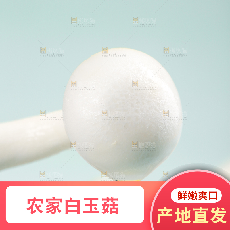 蓝底上的白玉菇