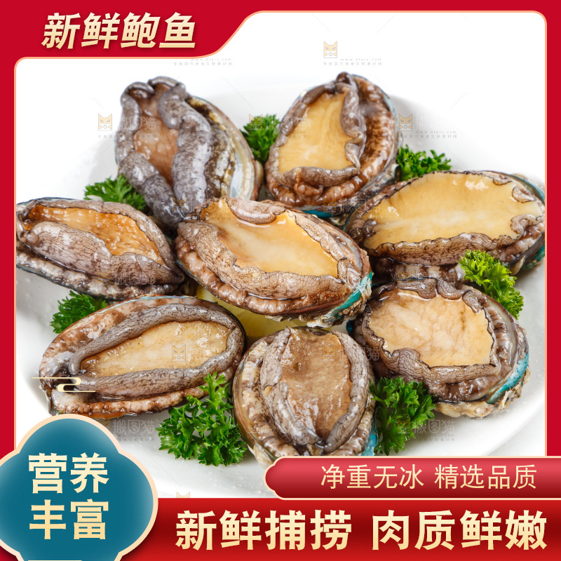 一盘鲜鲍鱼放在白底上