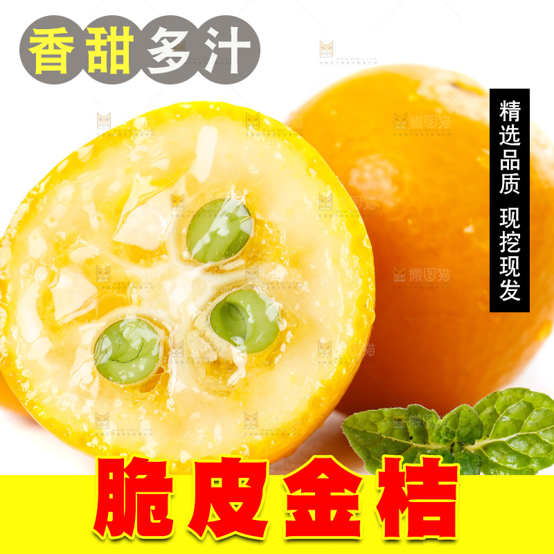 白底上放着小金桔