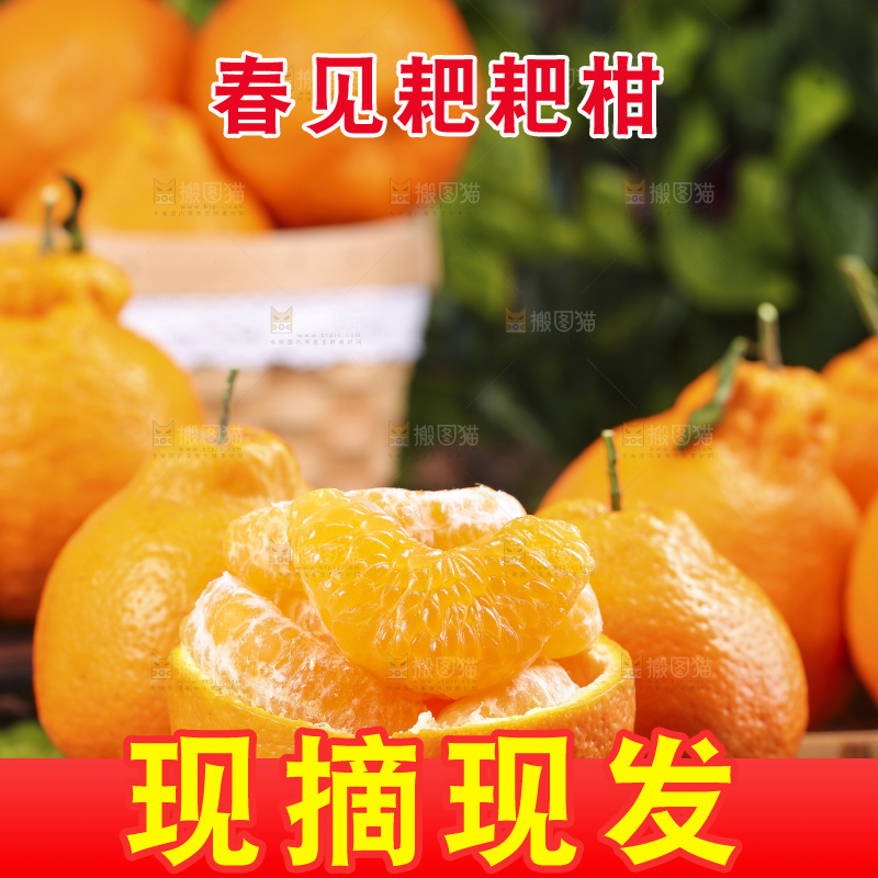 木板上放着春见柑橘