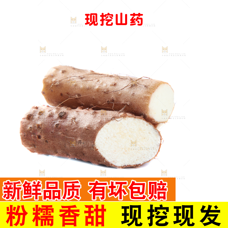 白底上摆放着山药