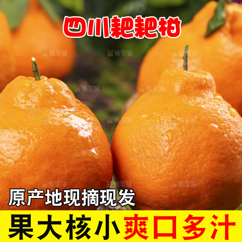 草地上摆放着耙耙柑