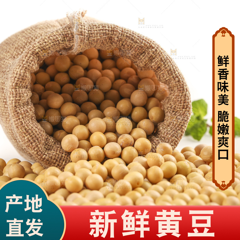 袋子里的黄豆粒