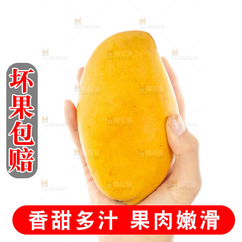 手里拿着芒果