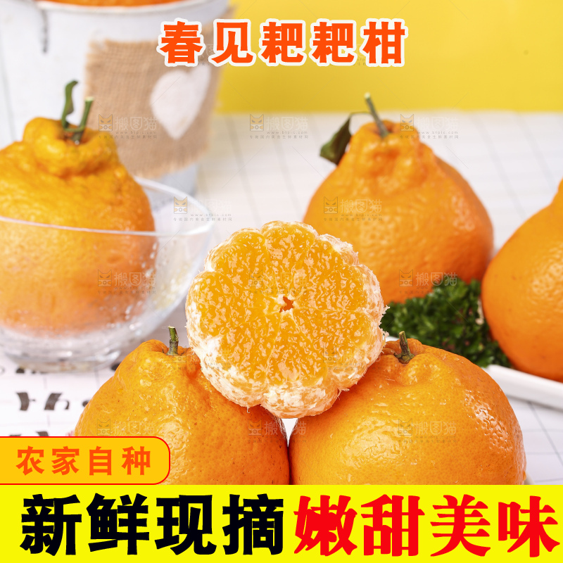 盘子里装着春见柑橘