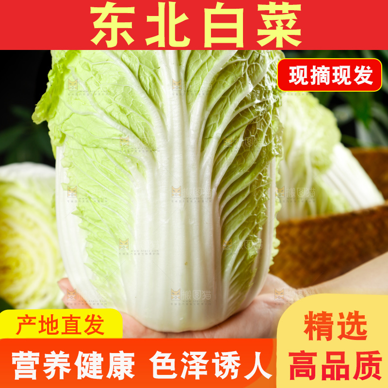 手拿大白菜