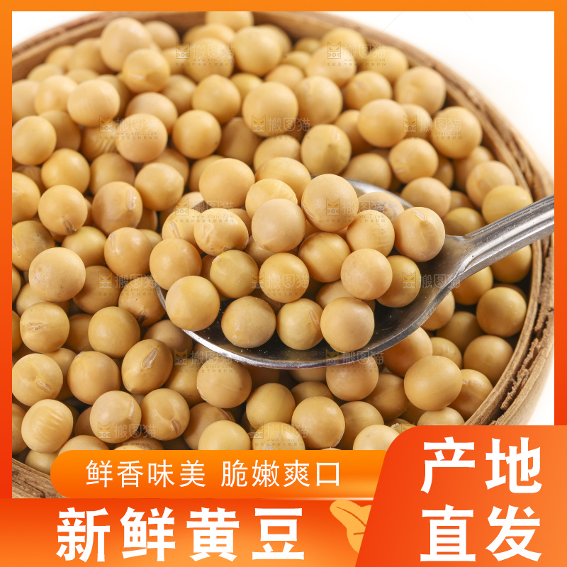 白底上放着东北黄豆