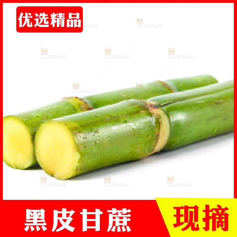 白底上的陶山青皮甘蔗