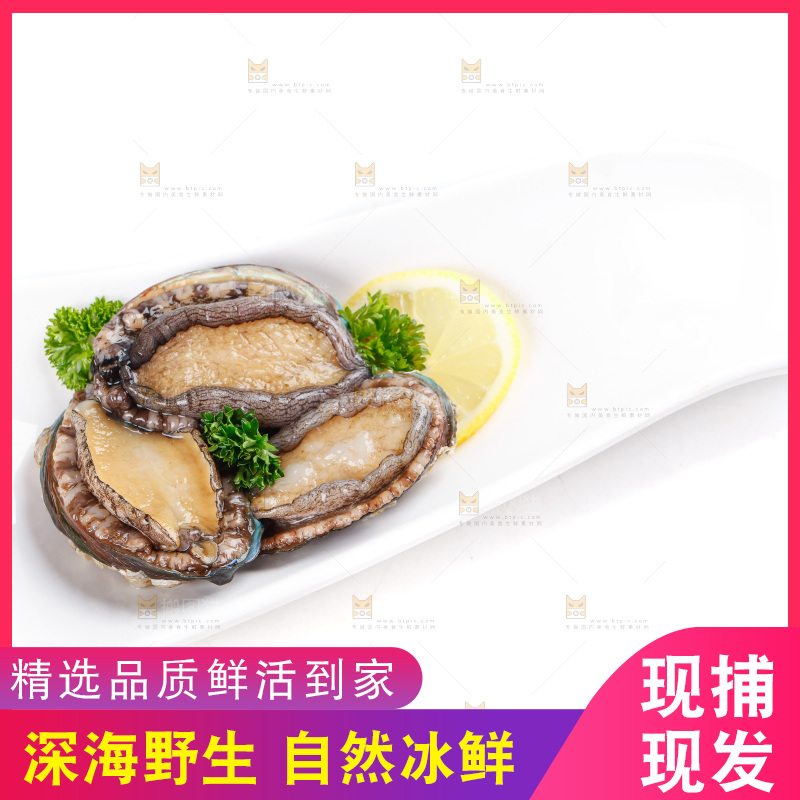 一盘鲜鲍鱼放在白底上