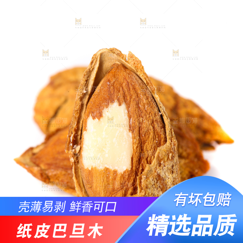 剥壳的扁桃仁放在白底上