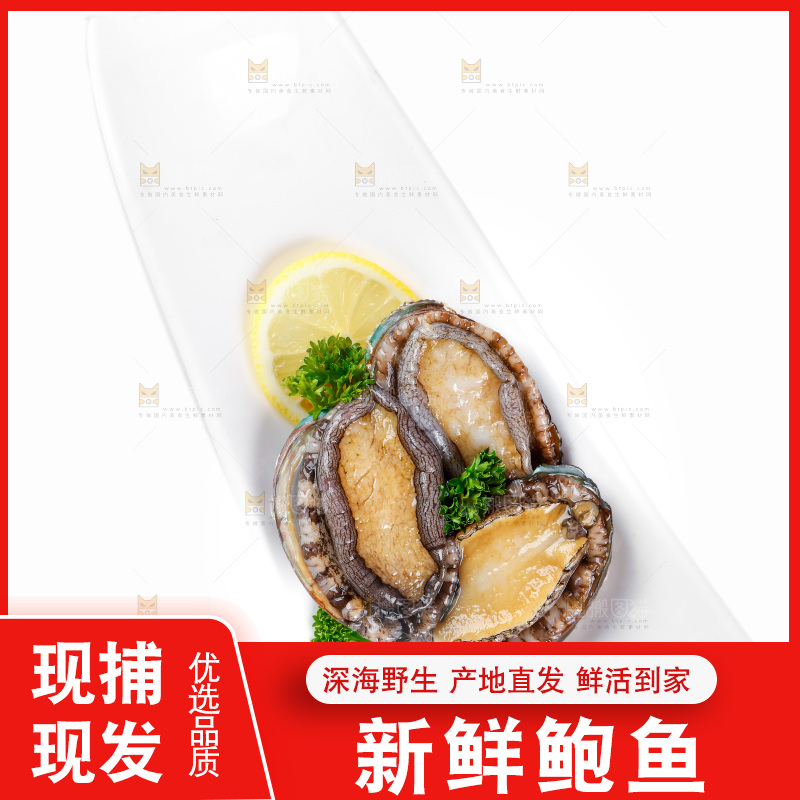 一盘鲜鲍鱼放在白底上